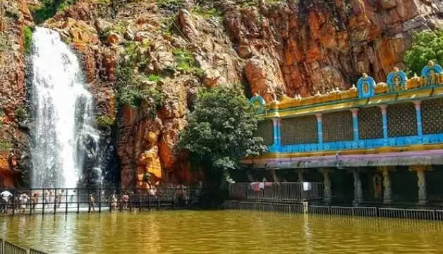  Annabhishekam today at Tirupati Kapileswarasamy Temple Permission for devotees