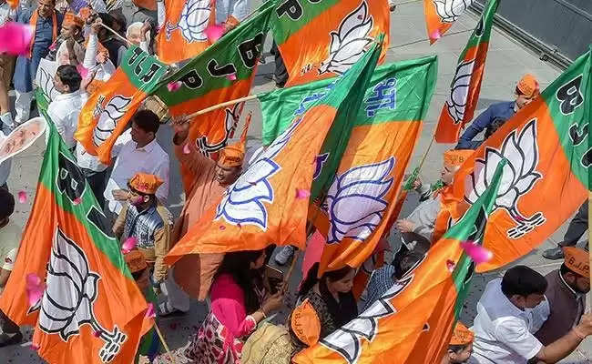 Local elections BJP wins 67 out of 75 seats